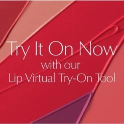 Estée Lauder Pure Color Envy Sculpting Lipstick - 340 Envious -Cosmetisch Kortingswinkel 1193x1200 13