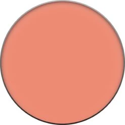 L’Oréal Paris True Match - 160 Pêche - Blush 35 L’Oréal Paris True Match - 160 Pêche - Blush -Cosmetisch Kortingswinkel 1199x1200 10