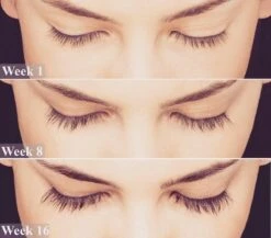 Lanthome Wimperserum - Met Castor Olie -Cosmetisch Kortingswinkel 1200x1056 3