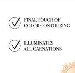 Bourjois Le Petit Strober Highlighter - 00 Universal Glow 21 Bourjois Le Petit Strober Highlighter - 00 Universal Glow -Cosmetisch Kortingswinkel 1200x1164 23