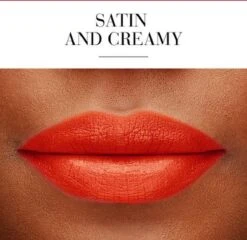 Lippenstift Rouge Fabuleux Bourjois -Cosmetisch Kortingswinkel 1200x1167 23