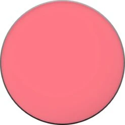 L'Oréal Paris True Match Blush - 165 Rose Bonne Mine -Cosmetisch Kortingswinkel 1200x1200 990