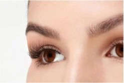 Ardell - Nepwimpers Multipack - Zwart - 5 Sets -Cosmetisch Kortingswinkel 1200x802 8