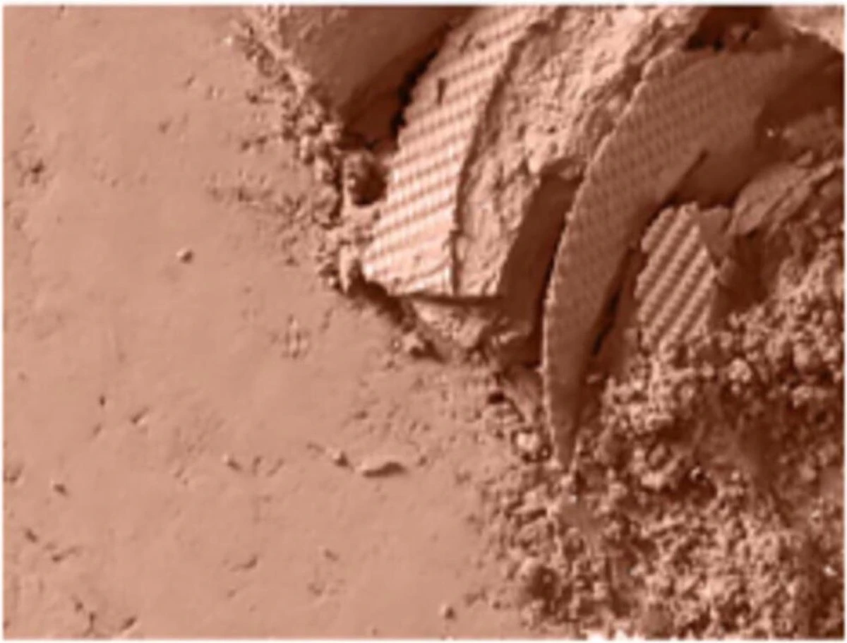 Mac Powder Blush 4 Mac Powder Blush - Afbeelding 4