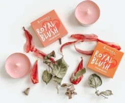 Rimmel London Rimmel - Royal Blush Cream Blush 4 G 002 Majestic Pink - -Cosmetisch Kortingswinkel 1200x985 3