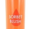 Bourjois Healthy Mix Sorbet Blush - 02 Apricot