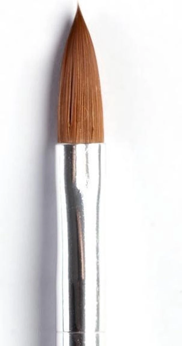 Merkloos Acryl Penselen (5 Kleuren) 3 Merkloos Acryl Penselen (5 Kleuren) - Afbeelding 3