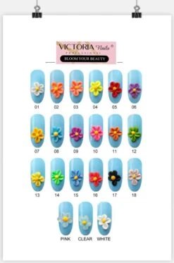 Victoria Nails Pro - Acrylpoeder - 28 Gram - Neon Pink #16 - Acrylpowder - Acryl Nagels - Manicure/pedicure Handen En Voeten - Nepnagels - Nagelstudio - Nagelstyliste - Beginner/professioneel Acrylpoeder - Ombre 3D Painting -Cosmetisch Kortingswinkel 795x1200