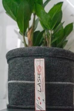 Wimperserum 5ml - Lash Lift - Eyelash - Wimperlifting - LashIQ- Wimper Serum- Wimperserum Groei -Cosmetisch Kortingswinkel 799x1200 7