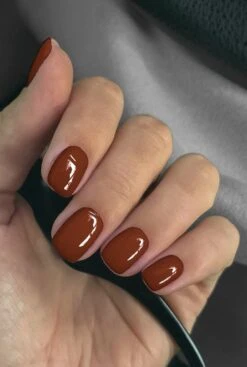 De Sera Gellak 6-delige Set - Gel Nagellak - Herfstkleuren - Herfst - 10ML - Born In Autumn -Cosmetisch Kortingswinkel 807x1200